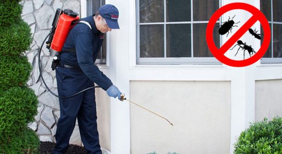 Çankırı Böcek İlaçlama böcek ilaçlama ve haşere kontrolü — ilaclama-tr.com